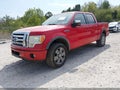 2009 Ford F-150 — photo 2 of 16 | VIN 1FTPW14V79KC94068