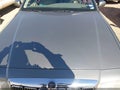 Photo 10 of 10 — 2001 Mercury Grand Marquis