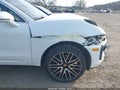 Photo 18 of 19 — 2024 Porsche Macan