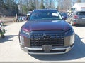 Photo 13 of 17 — 2024 Hyundai Palisade