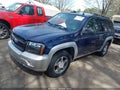 2008 Chevrolet Trailblazer — photo 2 of 11 | VIN 1GNDT13S682150021