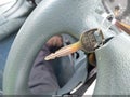 Photo 11 of 16 — 1997 Mercury Grand Marquis