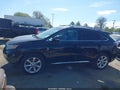 Photo 14 of 17 — 2010 Lexus RX 350