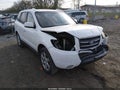 Photo 1 of 17 — 2009 Hyundai Santa Fe