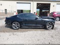Photo 12 of 15 — 2016 Ford Mustang
