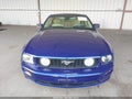 Photo 12 of 16 — 2005 Ford Mustang