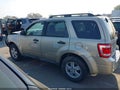 Photo 15 of 17 — 2010 Ford Escape