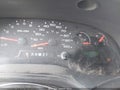 Photo 7 of 13 — 2008 Ford E-250