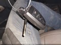 Photo 11 of 16 — 2024 Ford Bronco