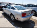 2009 Ford Mustang — photo 3 of 10 | VIN 1ZVHT80N095137697
