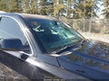 Photo 6 of 18 — 2017 Chevrolet Tahoe