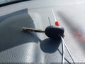2010 Chevrolet Camaro — photo 11 of 11 | VIN 2G1FC1EV7A9153809