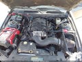 Photo 10 of 16 — 2007 Ford Mustang