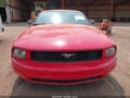 Photo 6 of 10 — 2008 Ford Mustang