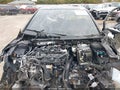 Photo 10 of 15 — 2025 Volkswagen Golf