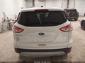 Photo 16 of 16 — 2013 Ford Escape