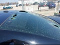 Photo 19 of 20 — 2021 Dodge Charger