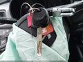 Photo 11 of 16 — 2023 Kia Rio