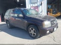 2008 Chevrolet Trailblazer — photo 1 of 13 | VIN 1GNDS13S182261613