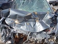 2010 Honda Insight — photo 10 of 17 | VIN JHMZE2H76AS030260