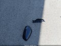Photo 12 of 19 — 2018 Toyota Yaris