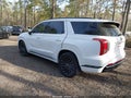 Photo 3 of 20 — 2025 Hyundai Palisade