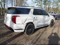 Photo 4 of 20 — 2025 Hyundai Palisade