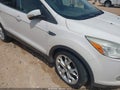 Photo 6 of 11 — 2014 Ford Escape