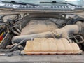 Photo 10 of 11 — 2015 Ford F-150