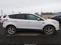 Photo 13 of 16 — 2014 Ford Escape