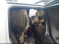 Photo 8 of 11 — 2004 Nissan Frontier