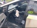 Photo 5 of 19 — 2026 Tesla Cybertruck
