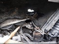 Photo 19 of 19 — 2018 Chevrolet Silverado 1500