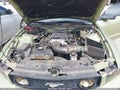 2006 Ford Mustang — photo 10 of 16 | VIN 1ZVFT82H265191951