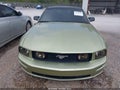 2006 Ford Mustang — photo 6 of 16 | VIN 1ZVFT82H265191951