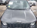 Photo 17 of 19 — 2019 Jeep Renegade