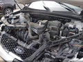 Photo 12 of 12 — 2011 Kia Sorento