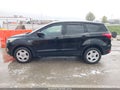 Photo 14 of 17 — 2019 Ford Escape