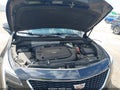 Photo 10 of 17 — 2021 Cadillac XT4