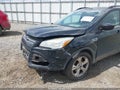 Photo 6 of 16 — 2016 Ford Escape