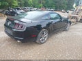 Photo 4 of 16 — 2013 Ford Mustang