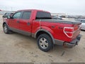 2009 Ford F-150 — photo 3 of 21 | VIN 1FTPW14V39FA33089