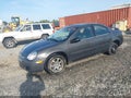 2004 Dodge Neon — photo 2 of 11 | VIN 1B3ES56C94D582081