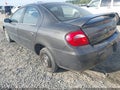 2004 Dodge Neon — photo 6 of 11 | VIN 1B3ES56C94D582081