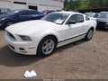 2013 Ford Mustang — photo 2 of 16 | VIN 1ZVBP8AM8D5265453