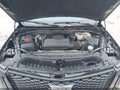 Photo 10 of 16 — 2025 Cadillac Escalade ESV