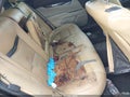 Photo 15 of 16 — 2013 Cadillac XTS