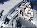 Photo 22 of 23 — 2016 Tesla Model S