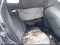 Photo 8 of 15 — 2022 Honda CR-V