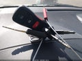 Photo 11 of 19 — 2009 Nissan Sentra